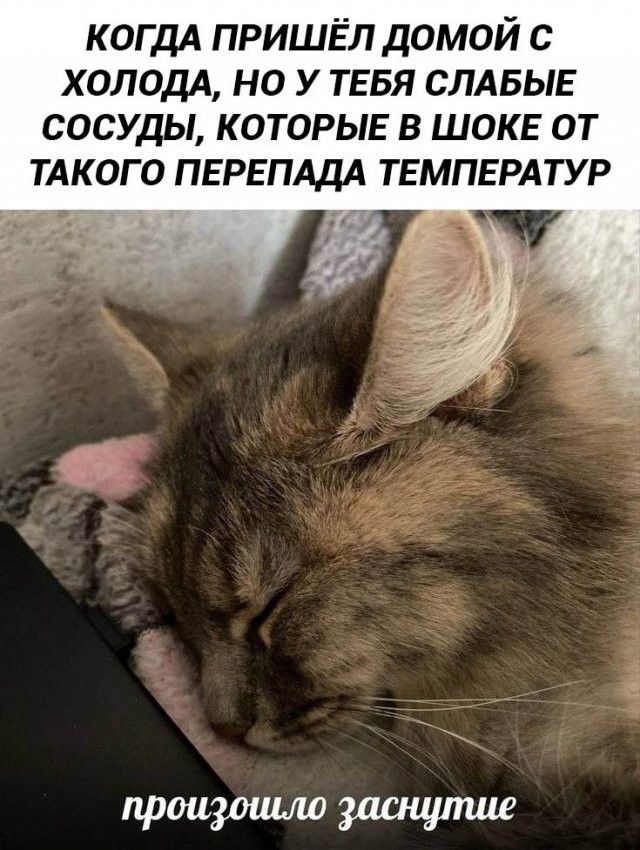 Скрины из соцсетей