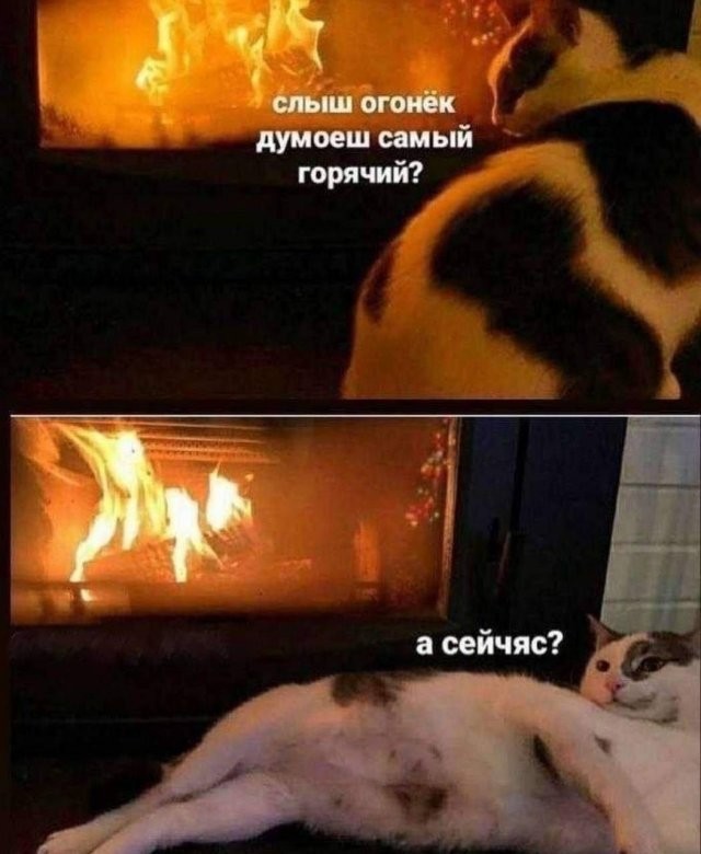 Скрины из соцсетей
