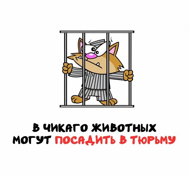 А вдруг ты не знал…