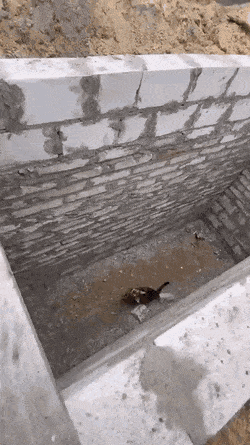 Просто гифки, всякие и&nbsp;разные