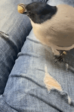 Просто гифки, всякие и&nbsp;разные