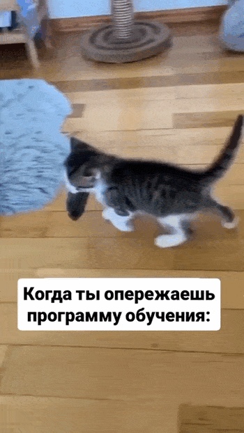 Просто гифки, всякие и&nbsp;разные