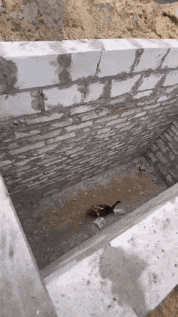Просто гифки, всякие и&nbsp;разные
