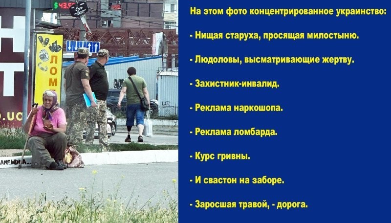 О политике и не только