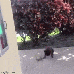 Просто гифки, всякие и&nbsp;разные