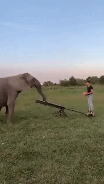 Просто гифки, всякие и&nbsp;разные