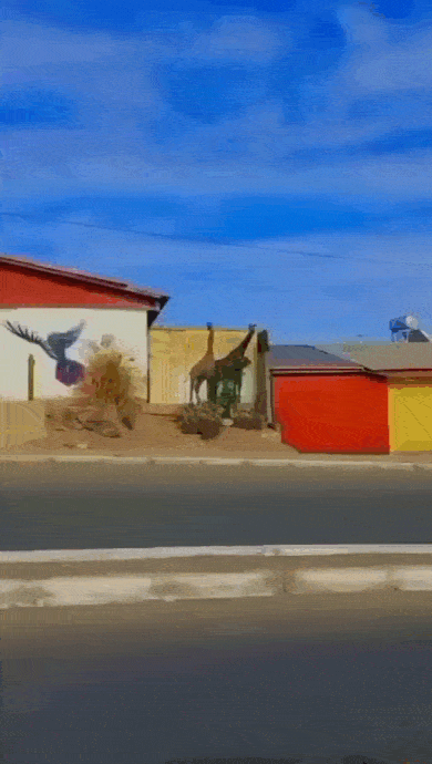 Просто гифки, всякие и&nbsp;разные