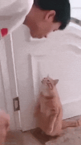 Просто гифки, всякие и&nbsp;разные