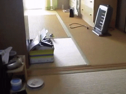 Просто гифки, всякие и&nbsp;разные