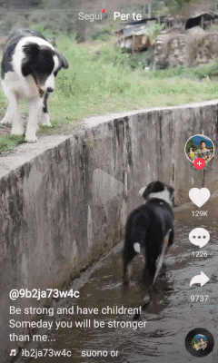 Просто гифки, всякие и&nbsp;разные