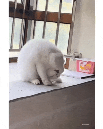 Просто гифки, всякие и&nbsp;разные