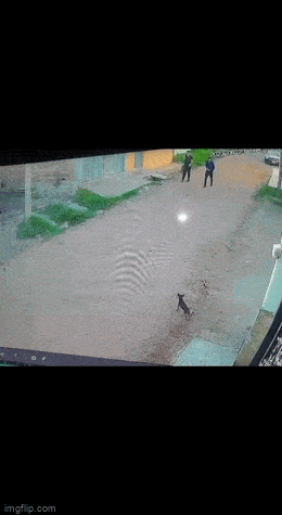 Просто гифки, всякие и&nbsp;разные