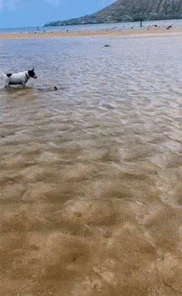 Просто гифки, всякие и&nbsp;разные