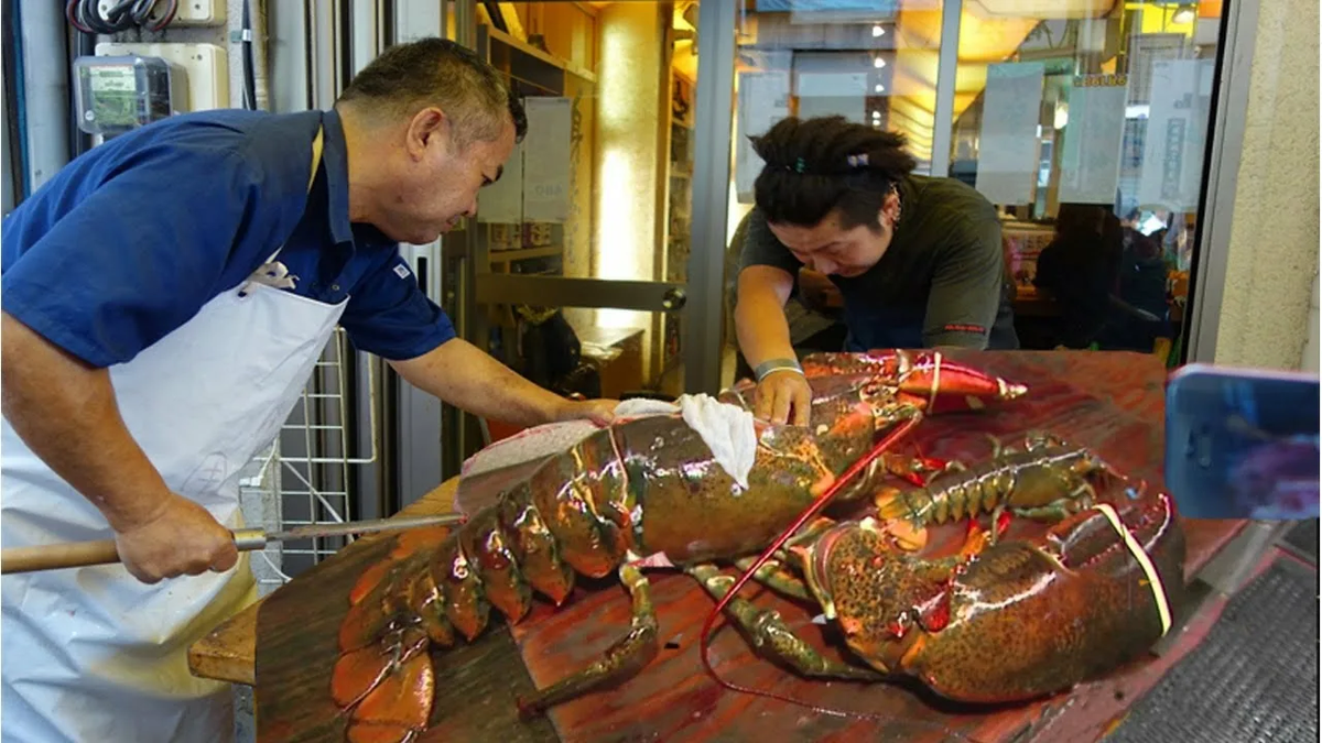 Лангуст: почему огромные раки отказались от клешней?