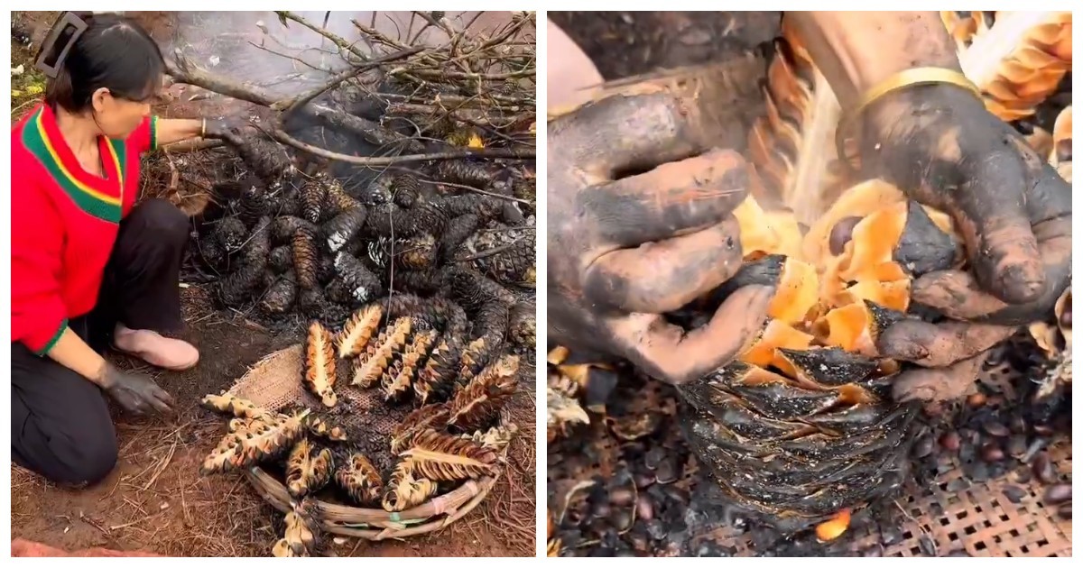 В Китае готовят традиционные жареные шишки с дымным ароматом