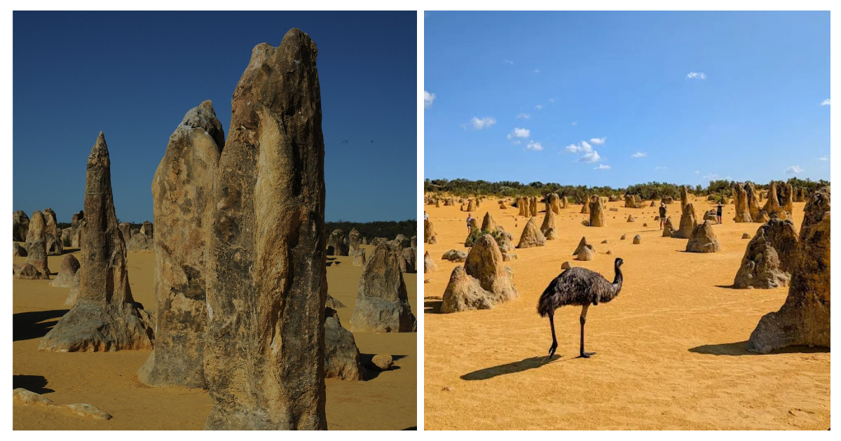 Пиннаклс – древние ракушки, превратившиеся в пустынные шпили Западной Австралии