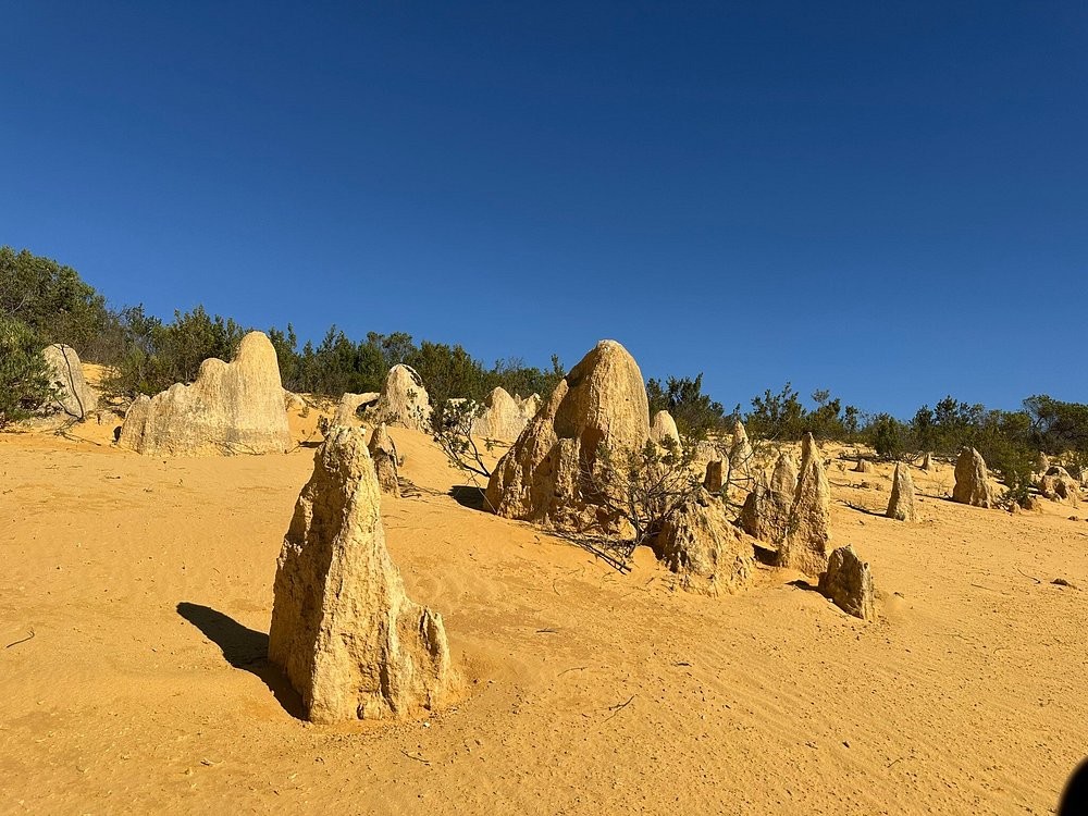 Пиннаклс – древние ракушки, превратившиеся в пустынные шпили Западной Австралии