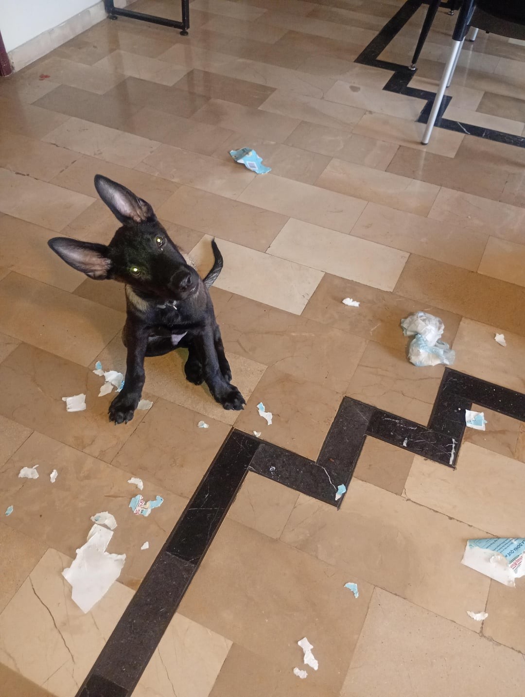 8. Разве я не молодец?