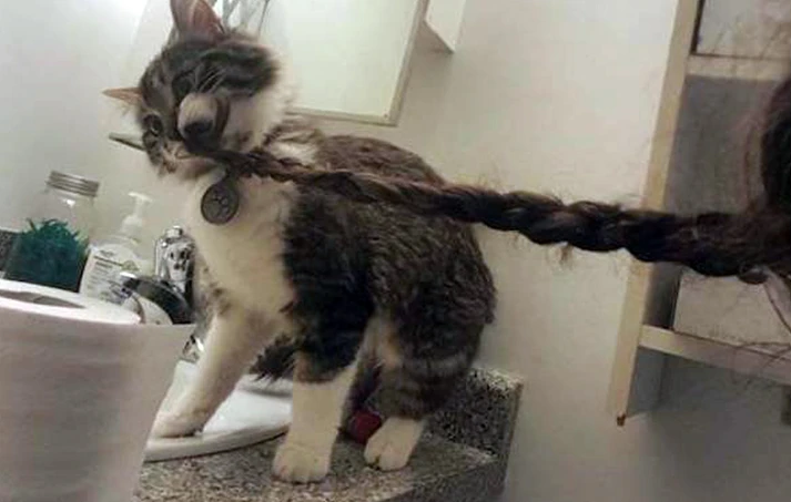 17.  Вылезай из соцсетей, готовь завтрак!