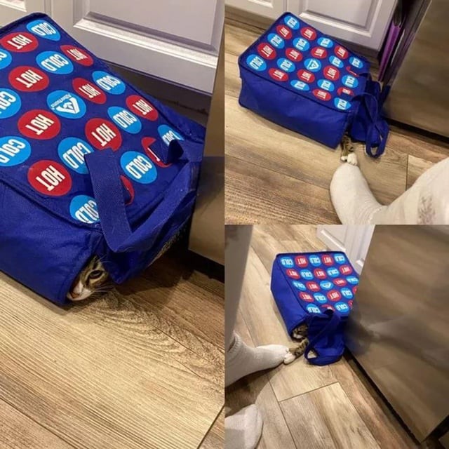 6. Тут никого нет. Совсем  никого