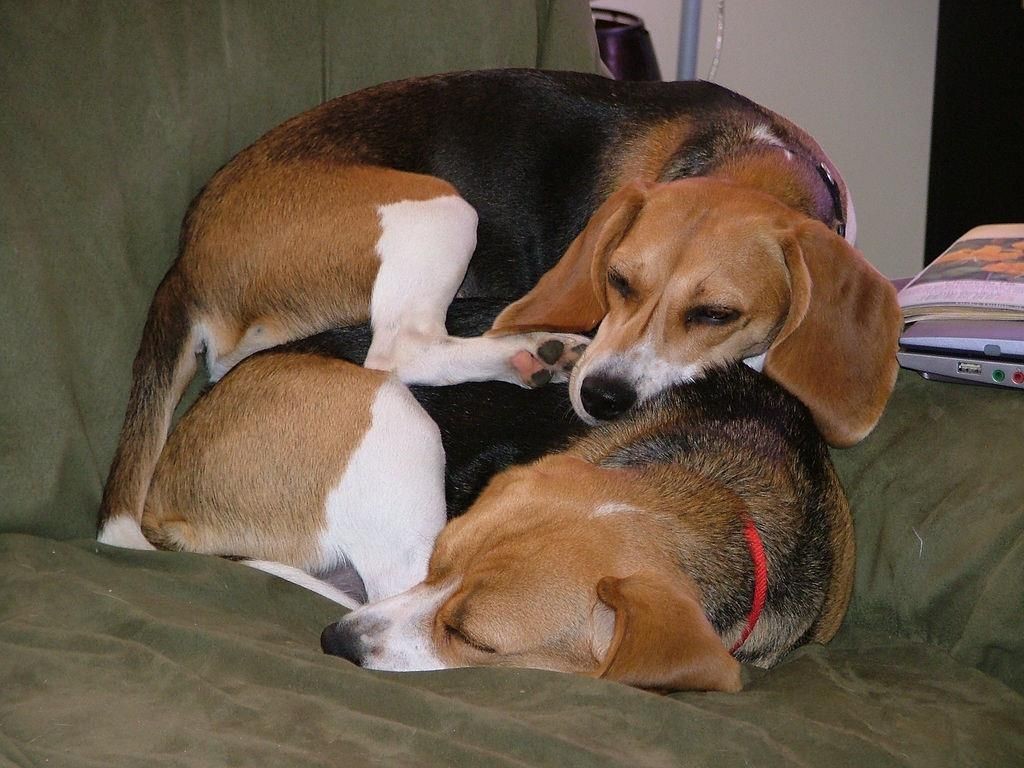 4. Лучшее место для сна