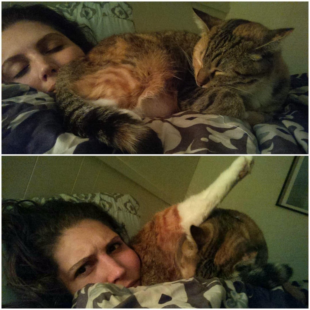 15. Пора вставать