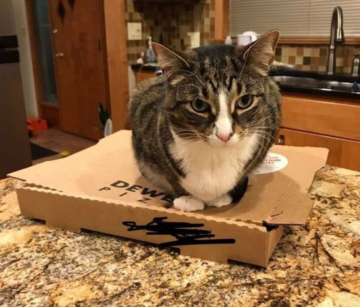 2. Чтобы не остыла