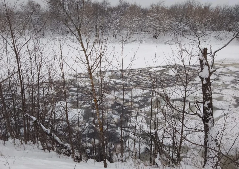 Более 200 овец утонули в озере в Башкирии
