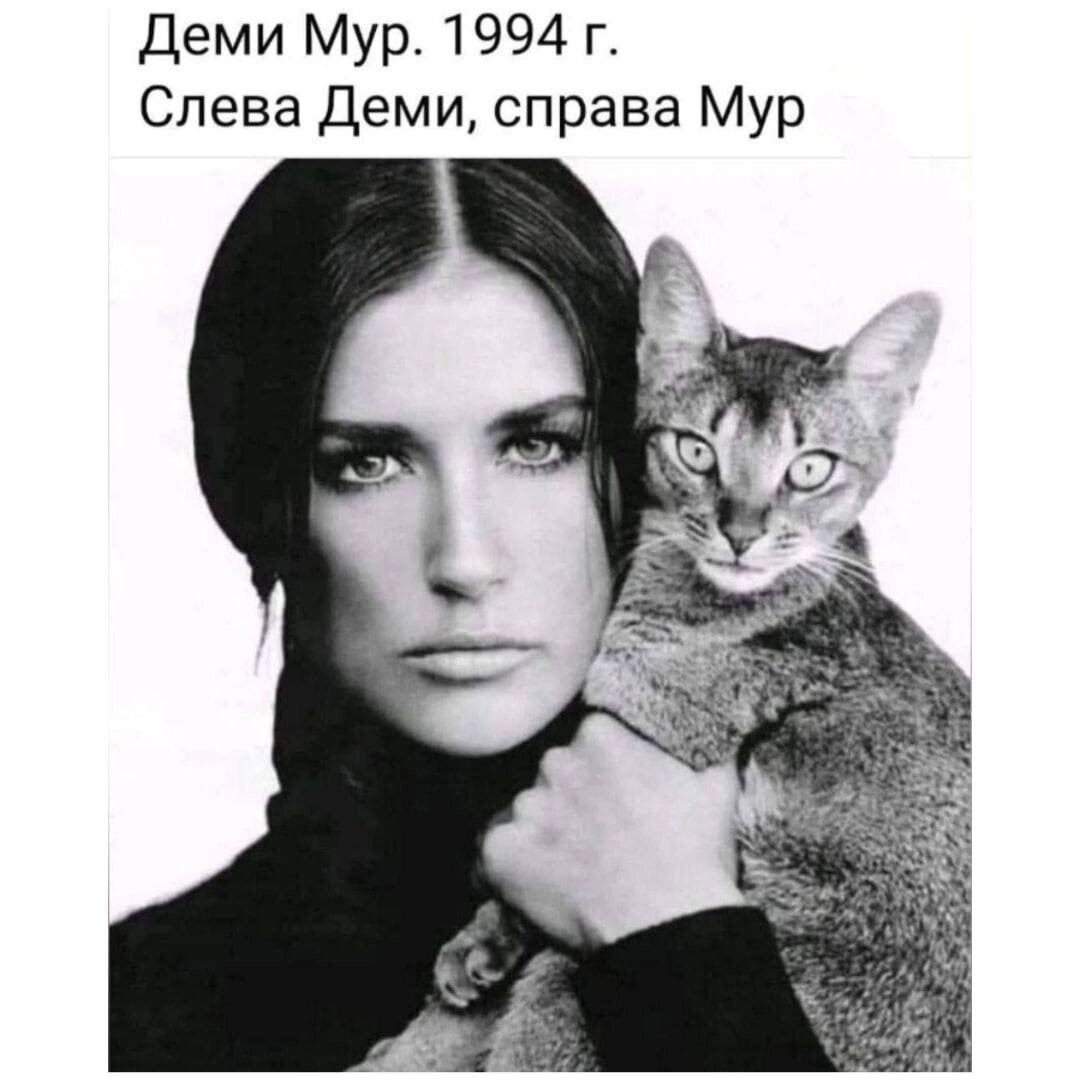 12.