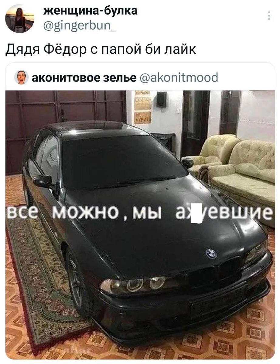 13. Кадр из экранизации "Простоквашино" Сарика Андреасяна?