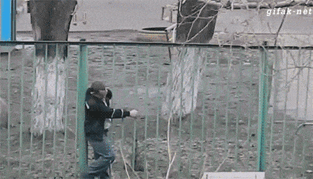 Просто гифки, всякие и&nbsp;разные
