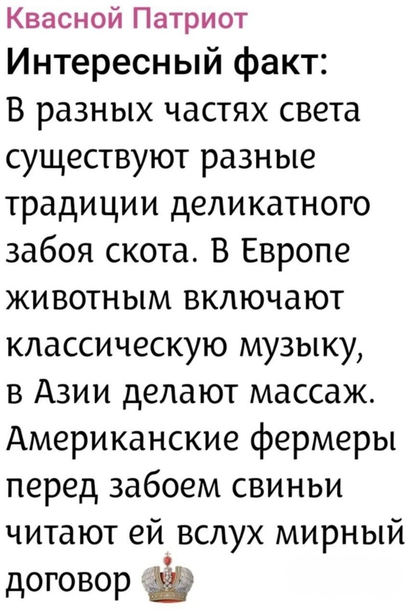 Лишь о политике , но и не только о ней