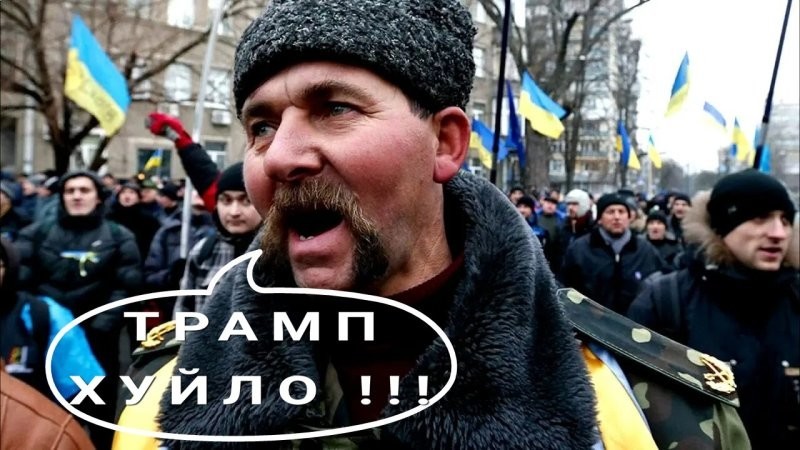 Лишь о политике , но и не только о ней