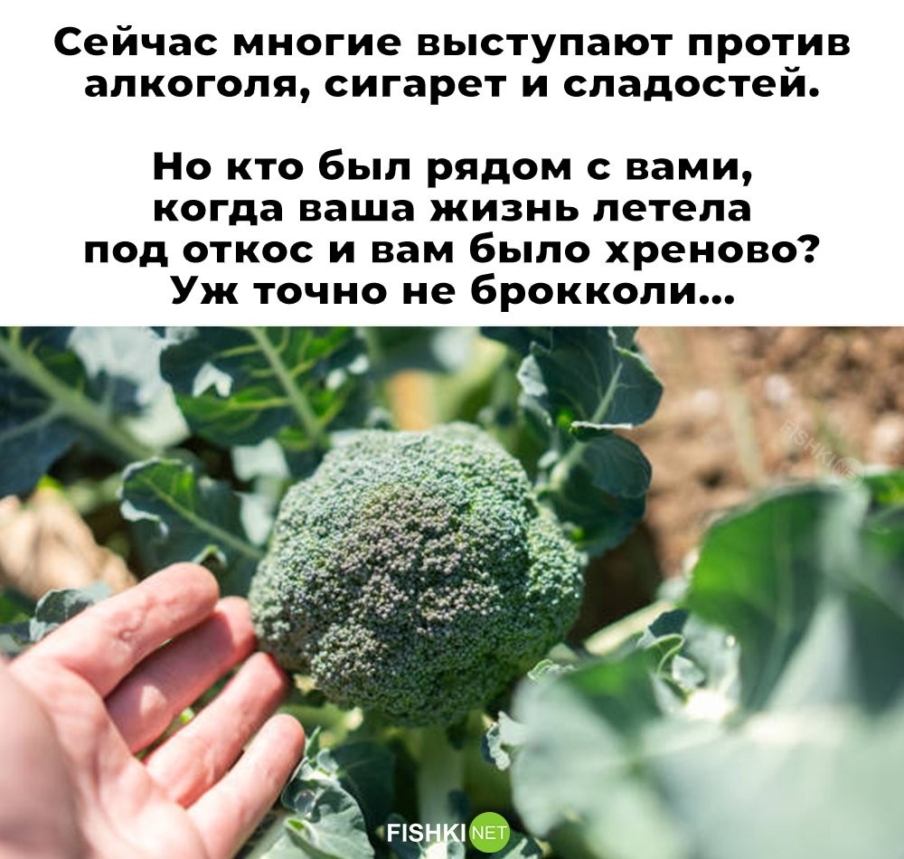 Смешные картинки