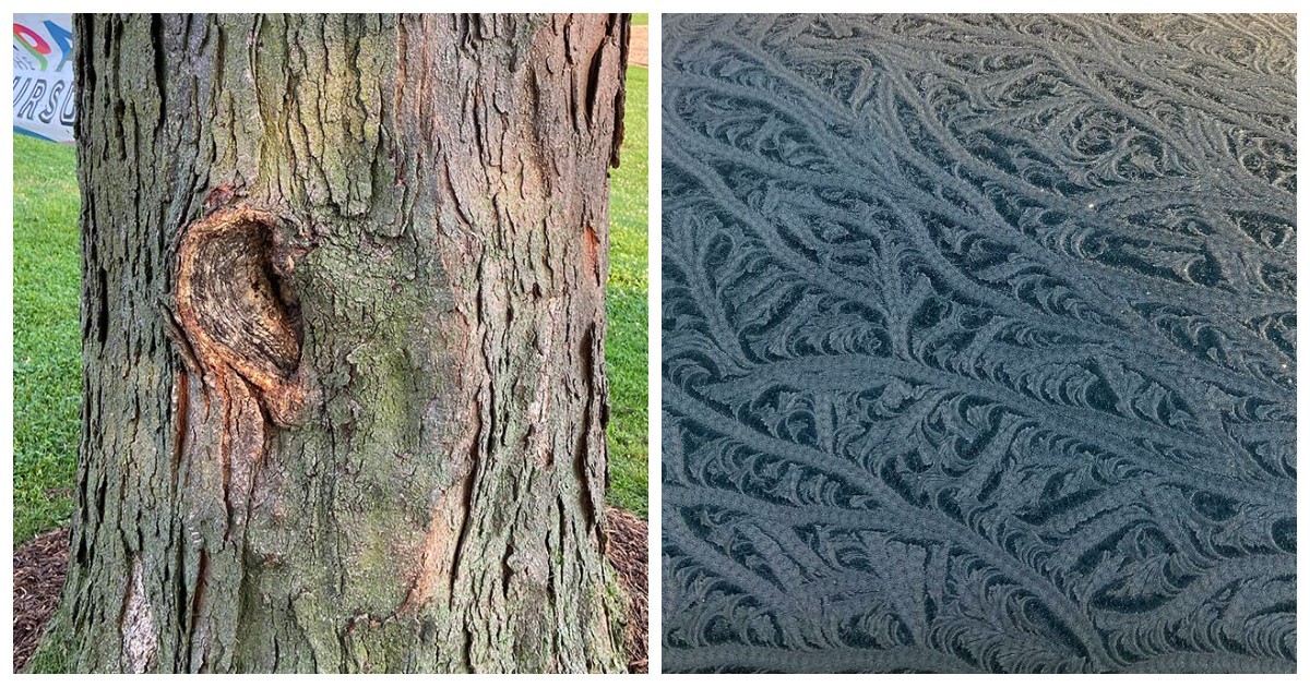 15 реально существующих чудес, которые похожи на плод воображения