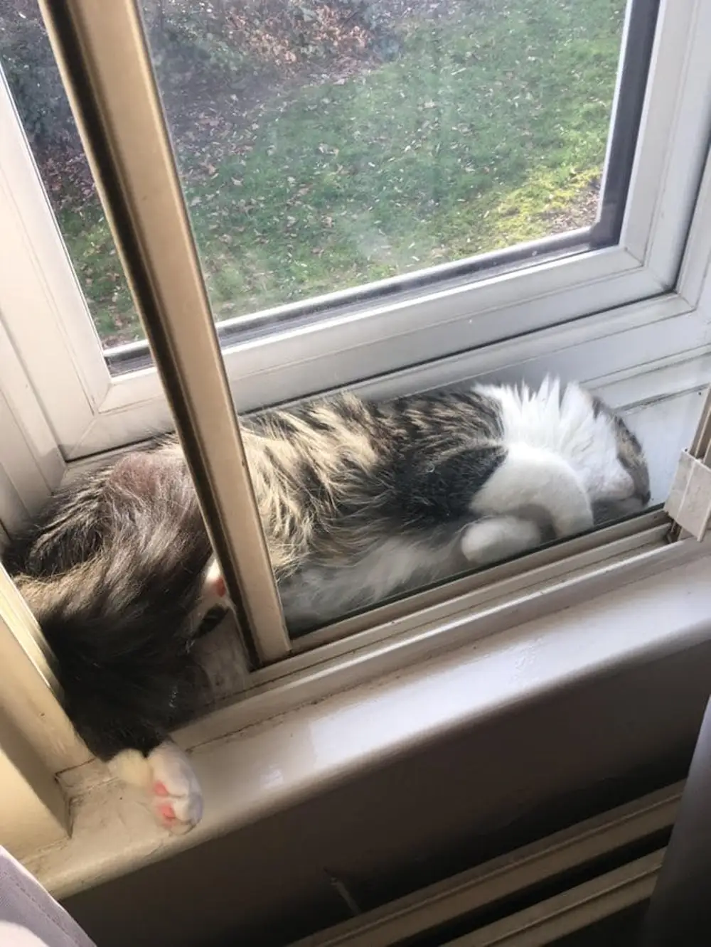 8. Уголок уединения