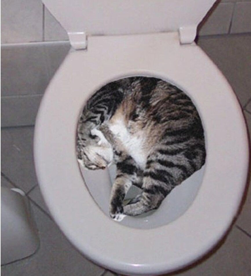 3. Неожиданная встреча