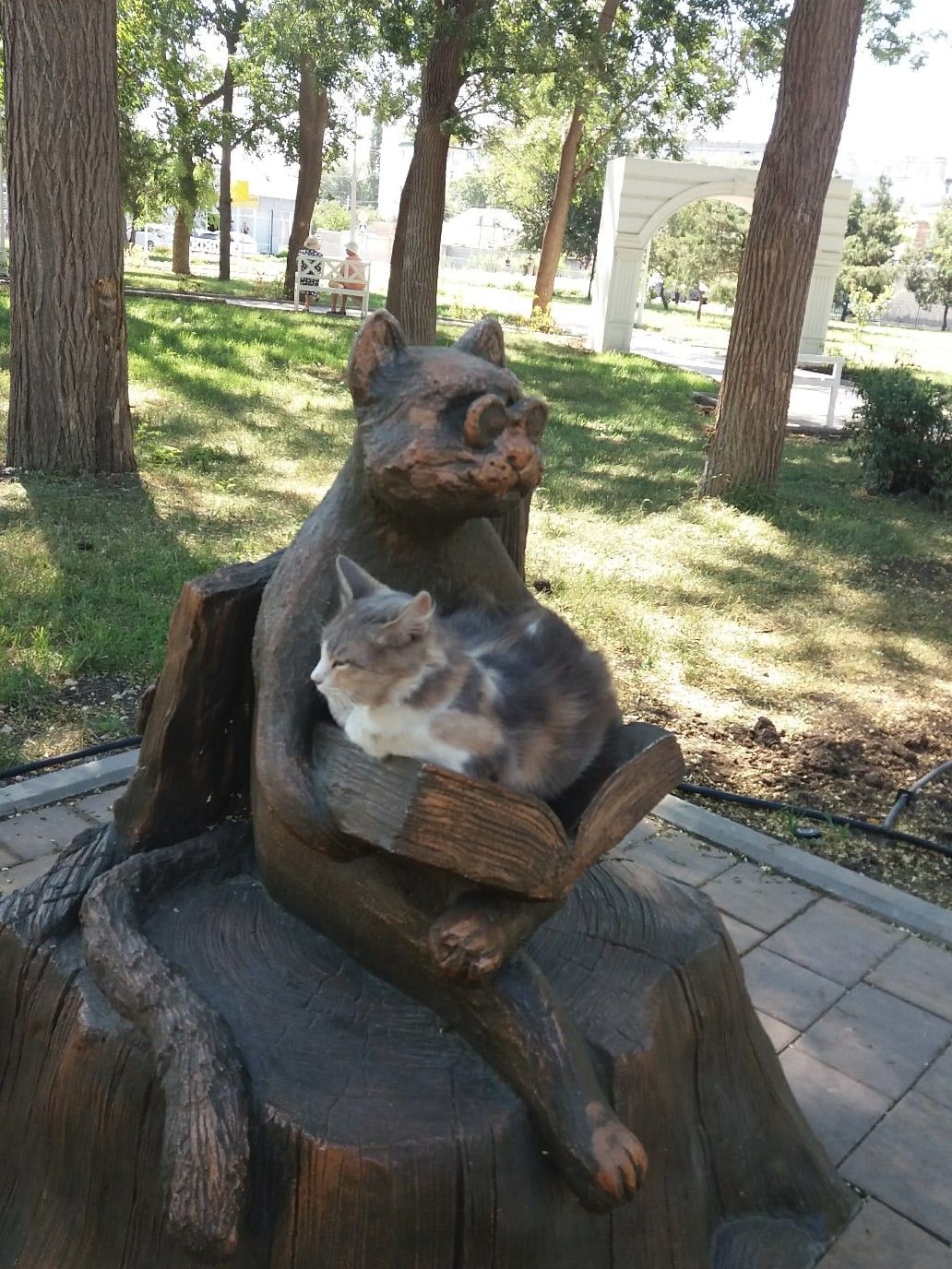 20. Они нашли друг друга