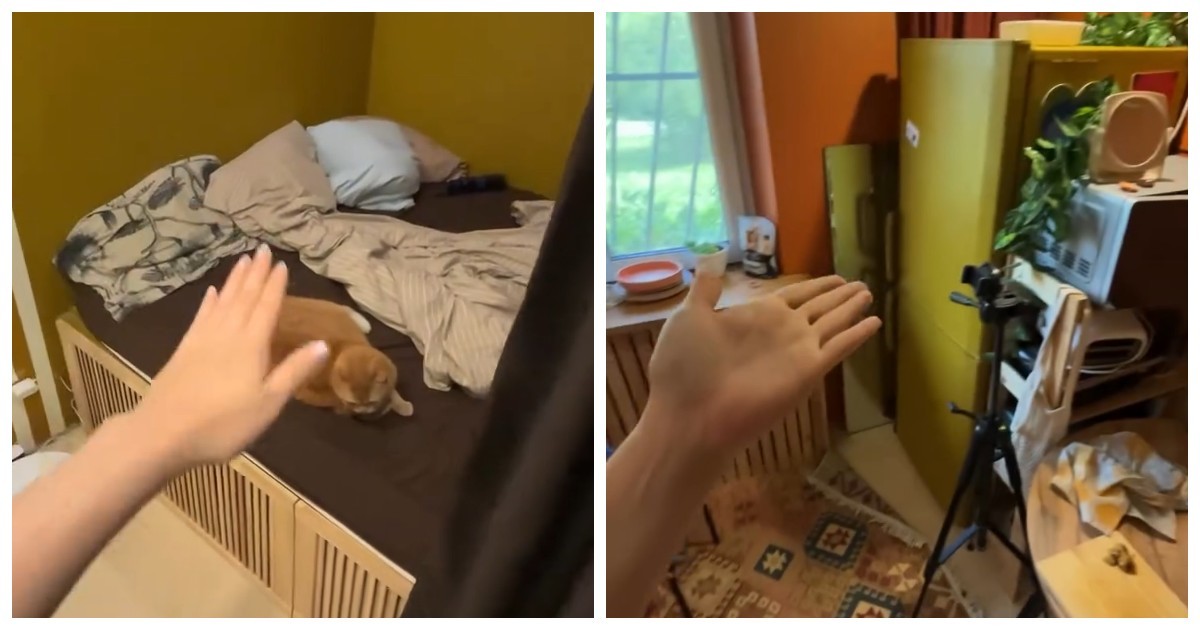 Как поместить семью и кота в однокомнатную квартиру