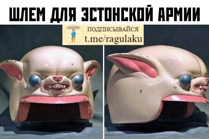 Лишь о политике , лишь о ней , зараза
