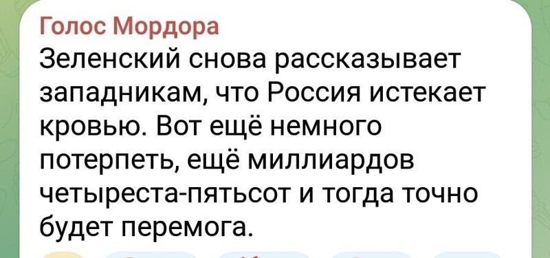 Лишь о политике , лишь о ней , зараза