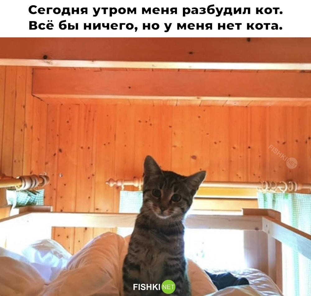 Смешные картинки