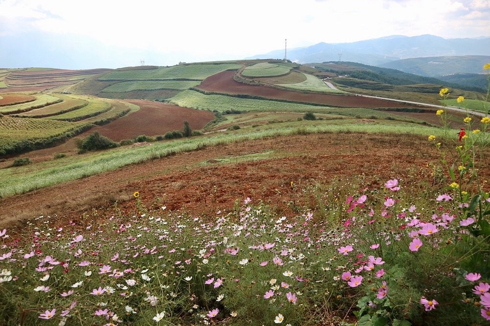 Луосягоу – невероятная яркая китайская палитра, в существование которой сложно поверить