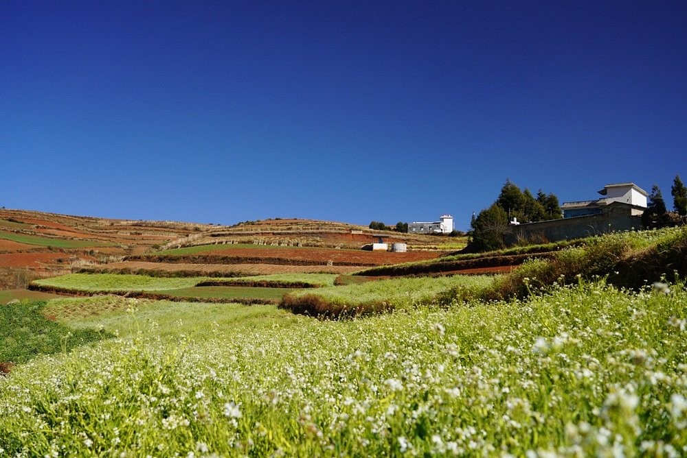 Луосягоу – невероятная яркая китайская палитра, в существование которой сложно поверить