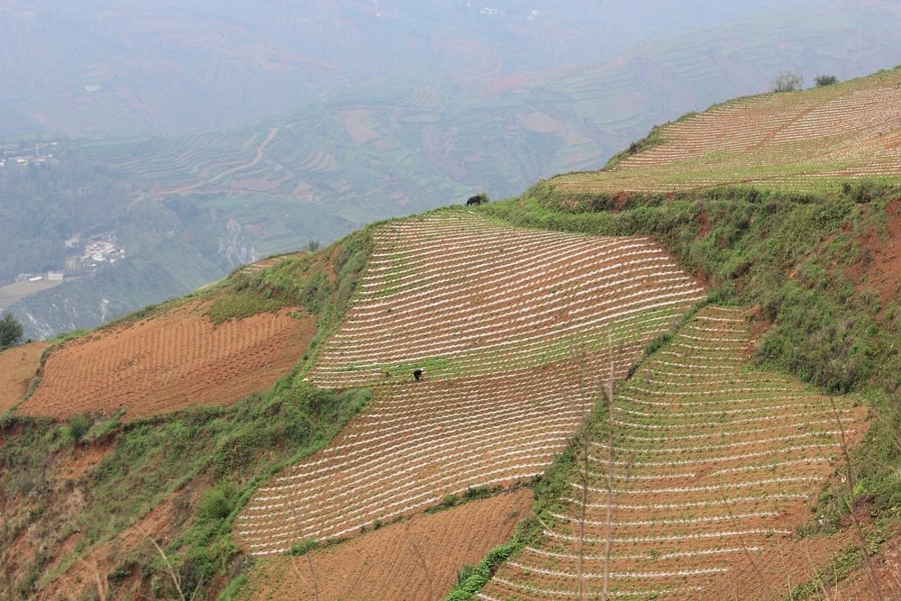 Луосягоу – невероятная яркая китайская палитра, в существование которой сложно поверить