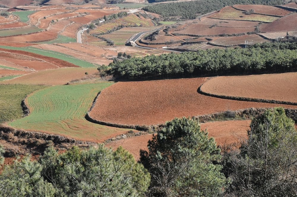 Луосягоу – невероятная яркая китайская палитра, в существование которой сложно поверить