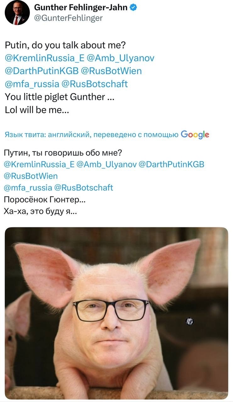 Председатель Австрийского комитета по расширению НАТО решил затроллить Путина, изобразив себя подсвинком