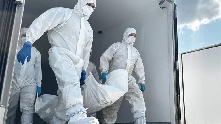 Россия передала Украине тысячу тел погибших военных в рамках договоренностей