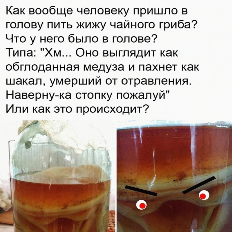 "Питомец", которого нельзя пить: китайцы придумали себе очередной странный тренд