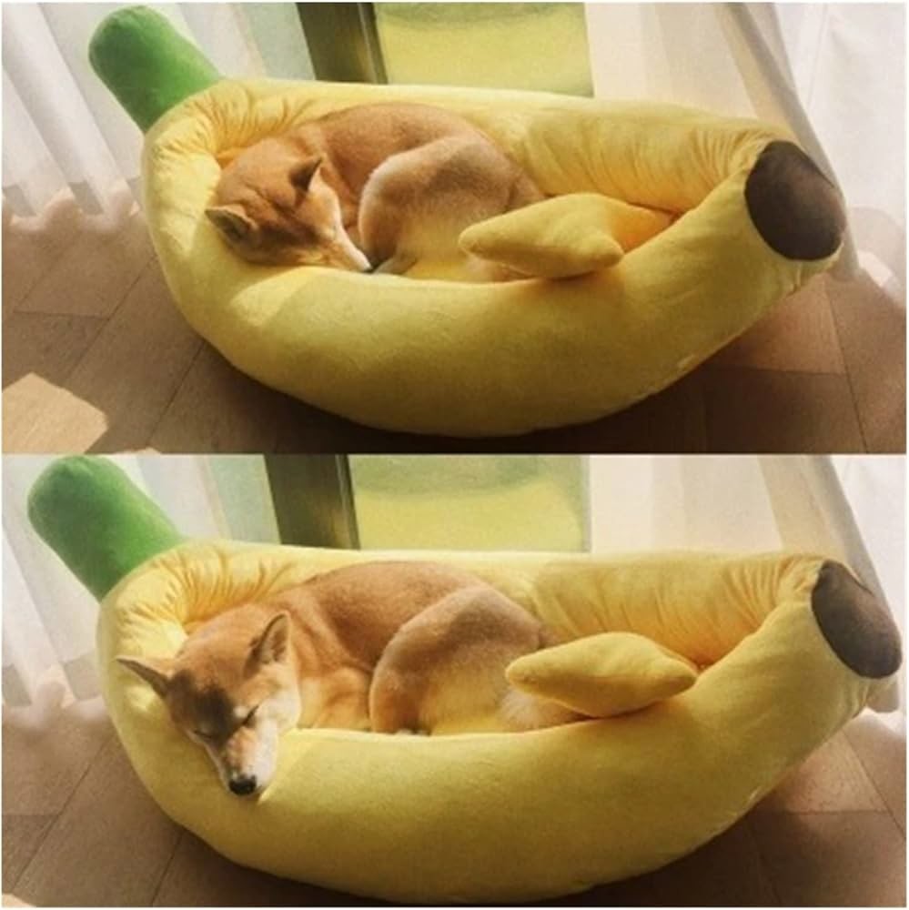 8. Не только котики